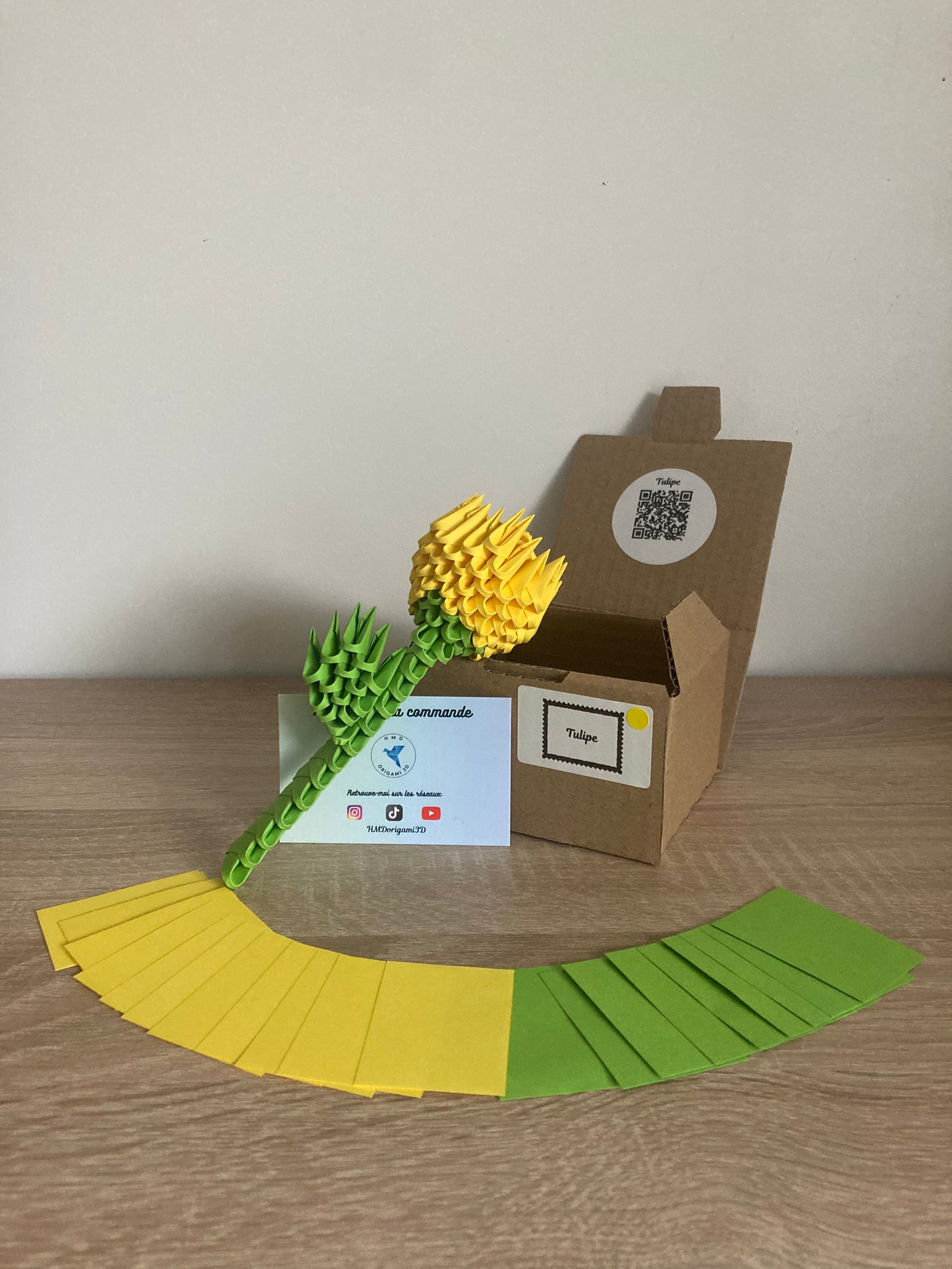 Kit Tulipe