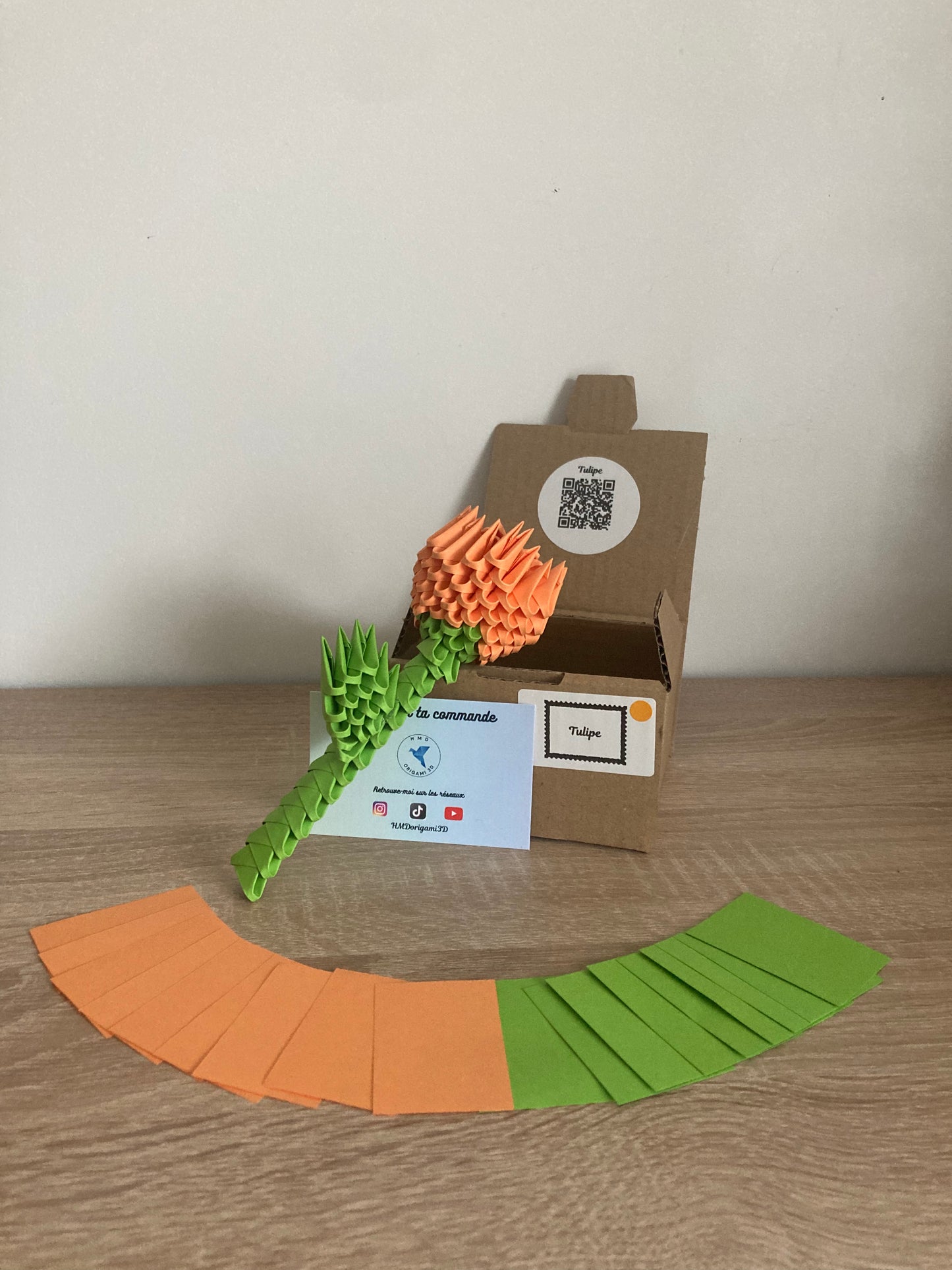Kit Tulipe